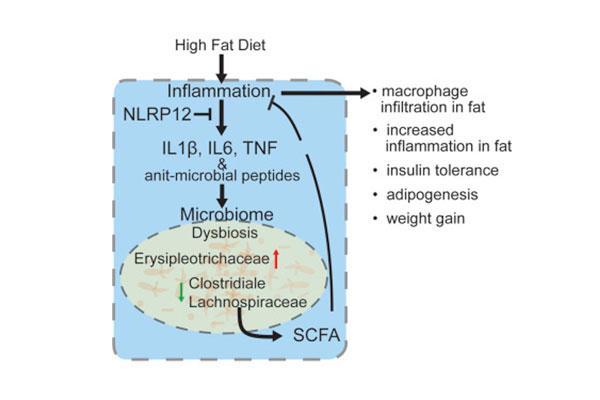 una-proteina-antiinf