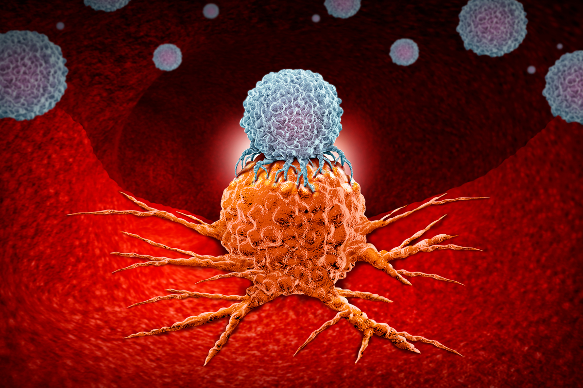 avances-en-la-inmunoterapia-dirigida-a-las-celulas-madre-cancerosas