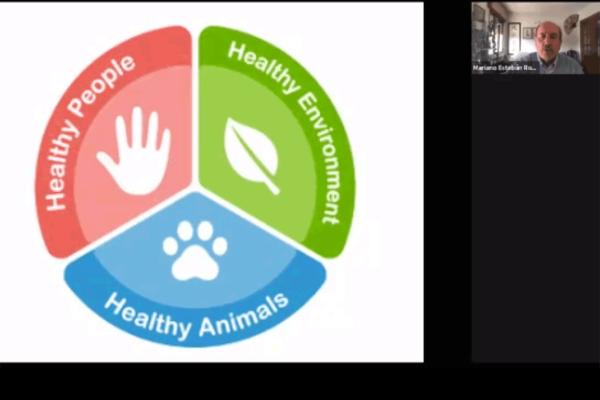 one-health-una-vision-para-prevenir-las-enfermedades-zoonoticas-en