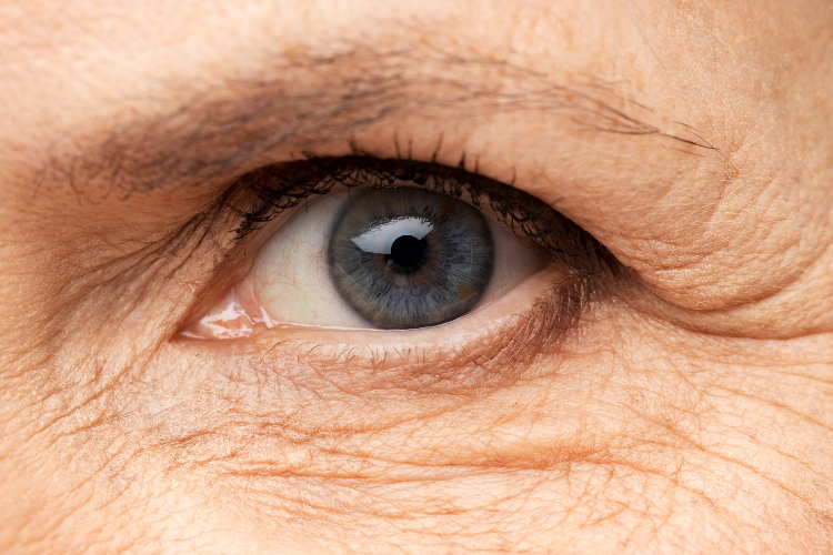 la-edad-de-la-retina-puede-ser-un-biomarcador-clinicamente-significat
