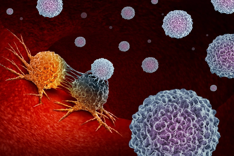 Nanocristales de celulosa eliminan el exceso de quimioterapia